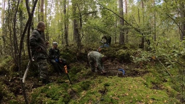 Поиск с металлоискателем в лесах Ленинградской области. смотреть онлайн
