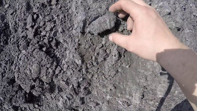 ПОИСК ОКАМЕНЕЛОСТЕЙ И НА ПЕСКЕ РАСТУТ ГРИБЫ СЕНТЯБРЬ 2017 SEARCH FOR FOSSILS смотреть онлайн