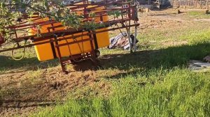 Подготовка и сев рапса сеялкой сз 3.6 и мтз 80.#мтз #фермер