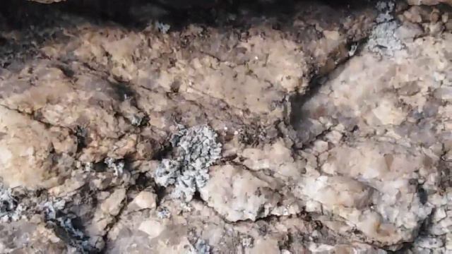 Затерянный мир реки Брекотунья (Пещера,скалы и папоротники) смотреть онлайн