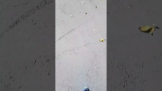 поход в озон (смотреть до конца) пожалуйста ? смотреть онлайн