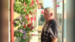 Цветы на балконе. Озеленение балкона своими руками.