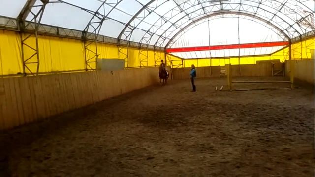 КФК Стрелы Ярилы. Южное Бутово. Занятия по верхой езде. 07.06.2013. смотреть онлайн