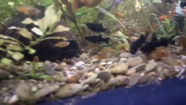 Стеллаж готов. смотреть онлайн