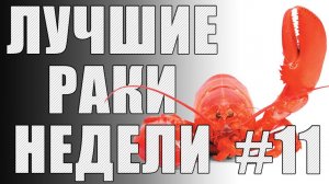 ЛРН выпуск №11 [Лучшие Раки Недели]