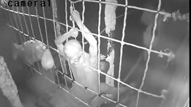 Слабонервным НЕ СМОТРЕТЬ! Страх On-Line #31 смотреть онлайн