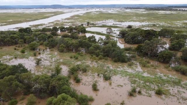 Кипарисовка смотреть онлайн