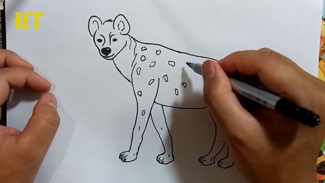 how to draw a hyena step by step easy смотреть онлайн