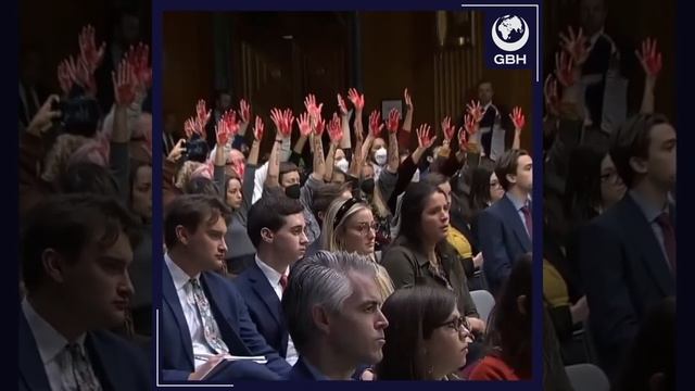 Пример решительности в вопросе Газы [Eng sub] #gbhnews смотреть онлайн