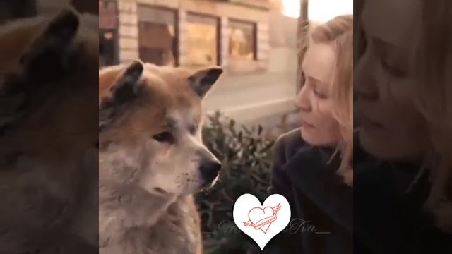 Хатико ждал всю свой жизнь смотреть онлайн