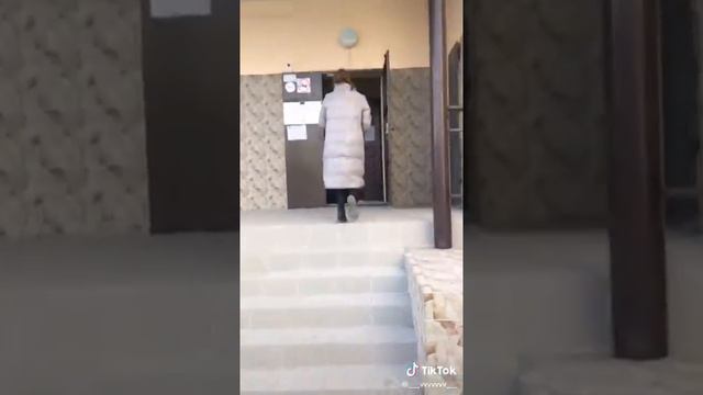 Кошка упала с балкона и сильно постродала! смотреть онлайн