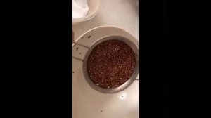 как прорастить семена льна дома