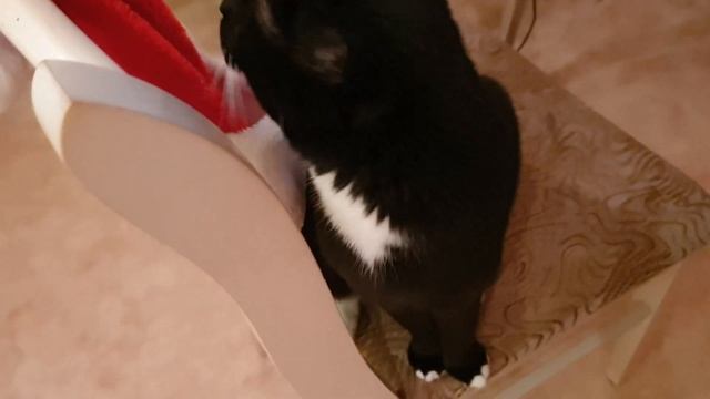 Ремонтный Чемпионат