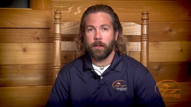 NoBark 10R (SBC-10R): Why It's a Cool смотреть онлайн