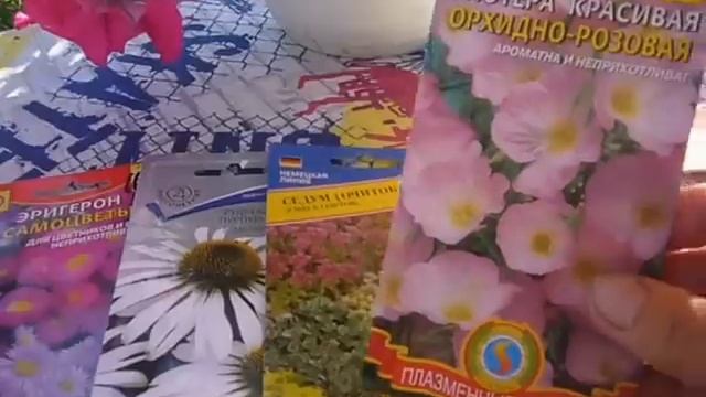 ВПЛ. 15 июля самое время сеять многолетники. смотреть онлайн