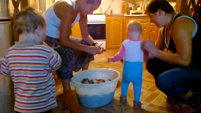 помогает мыть грибы смотреть онлайн