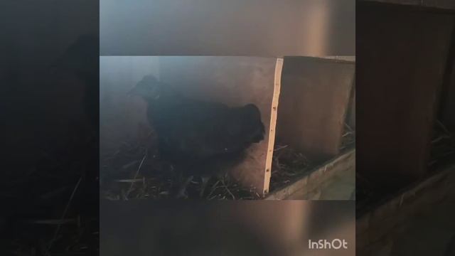 наши будни😉как они есть смотреть онлайн