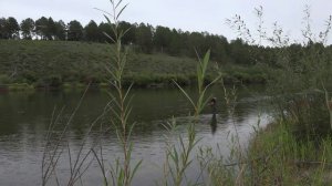 туризм в Забайкалье. Река Онон. Усть-Иля. Нижний Цасучей.