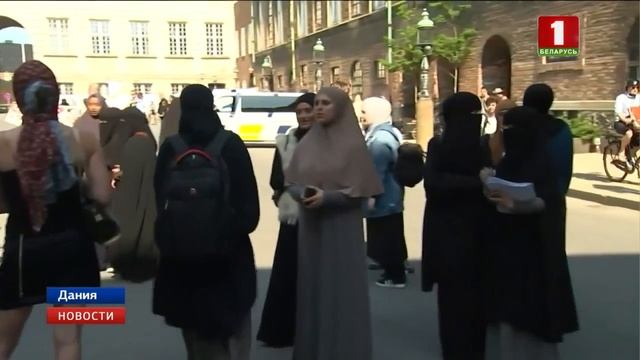 В Дании запретили носить паранджу в общественных местах смотреть онлайн