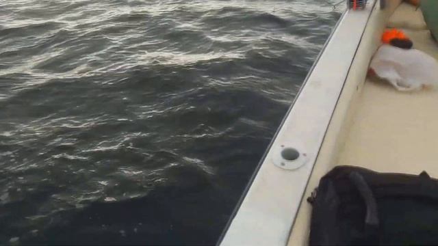Скоро весна) Морская рыбалка в Баренцевом море Мурманские морские рыбалки смотреть онлайн