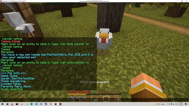 What is Wild Pets? смотреть онлайн