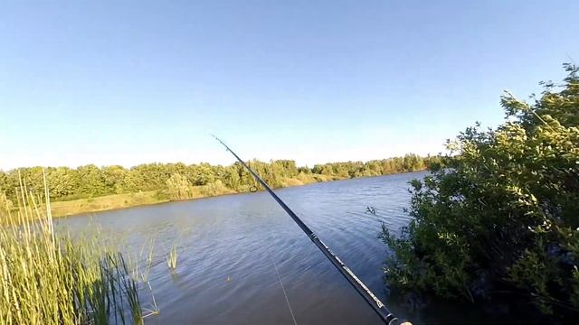 Ловля щуки на спиннинг в июне - Воблера, Вертушки, Колебалки. смотреть онлайн