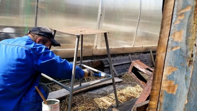 Продолжаем делать полив в теплице. Дача 8 мая 2023 года смотреть онлайн