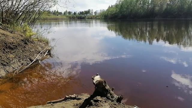 Тишь да гладь ..... смотреть онлайн