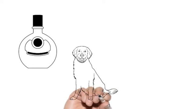 Карта желаний 9 часть (короткая) смотреть онлайн