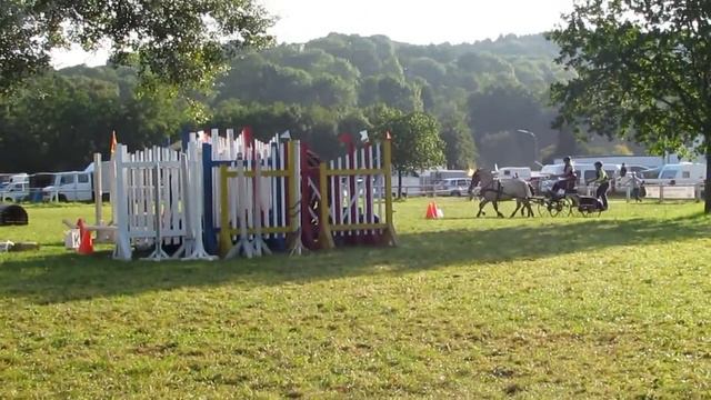 Anne Sauer Kombiniertes Hindernisfahren Fjordcup 2014 смотреть онлайн