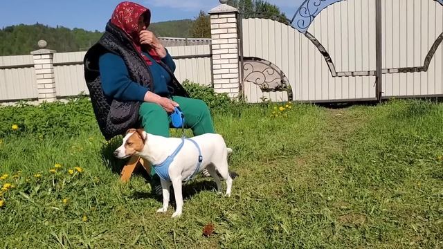 Маме нравиться в Карпатах ! Уезжать не собираемся смотреть онлайн