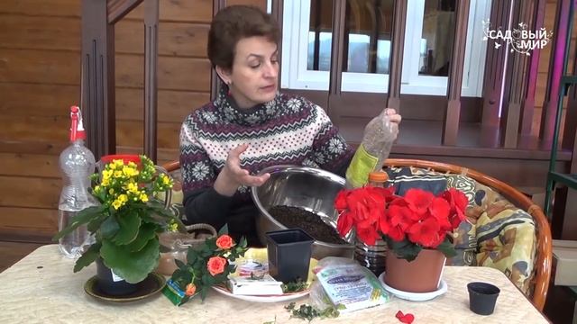 Как сохранить миниатюрную розу смотреть онлайн