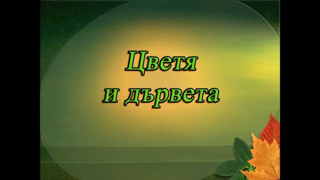 2-ра виртуална изложба "Морето през погледа на фотографа Стефан Панайотов" смотреть онлайн