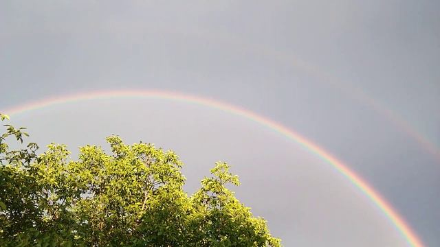 Никогда такого раньше не видел!!!! смотреть онлайн