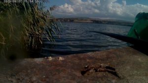 Рыбалка в сентябре в чистеньком