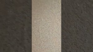 Морщины на флизелиновых обоях