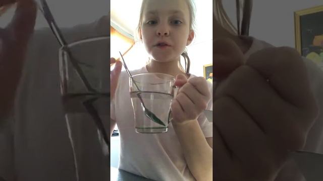 Что делать если болит зуб смотреть онлайн
