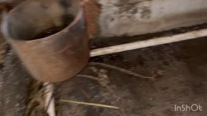 Поилки для сарая своими руками. Поилки для бычков