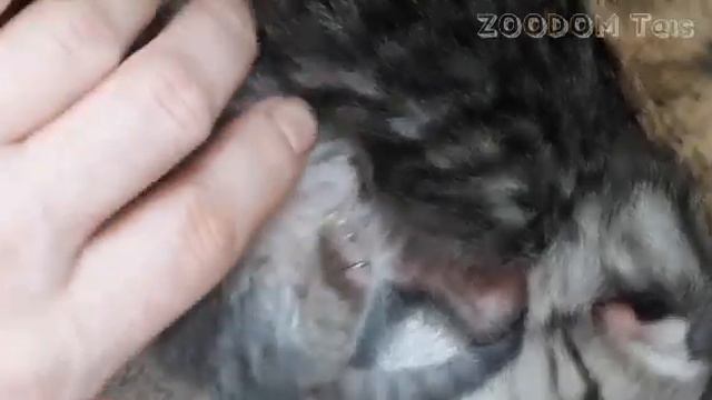 КОЛЫБЕЛЬНАЯ от Матильды. смотреть онлайн