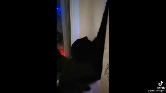 мошкара ее все👌😅 смотреть онлайн