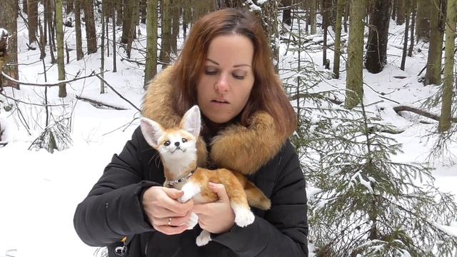 Фенек смотреть онлайн