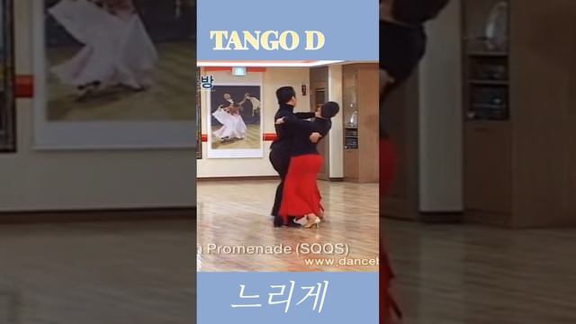 TANGO D배우기 смотреть онлайн