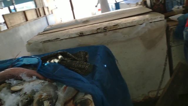 Красное море 2019. Купили рыбу хамур /Грубер/.День Тарика смотреть онлайн