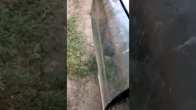 поставил кпп б.у за 2000 руб peugeot 405 смотреть онлайн