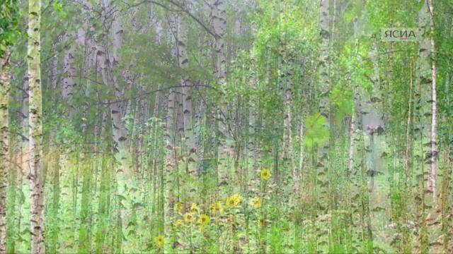 Читаем вместе с ЯСИА: Учитель русского языка и литературы Оксана Амонова смотреть онлайн