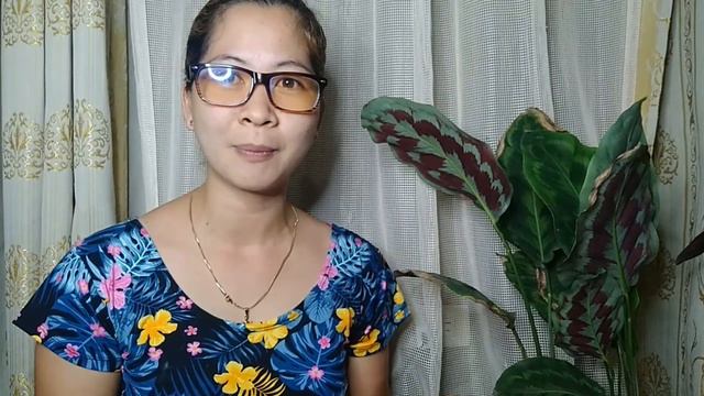 How to take care CALATHEA/PRAYER PLANTS смотреть онлайн