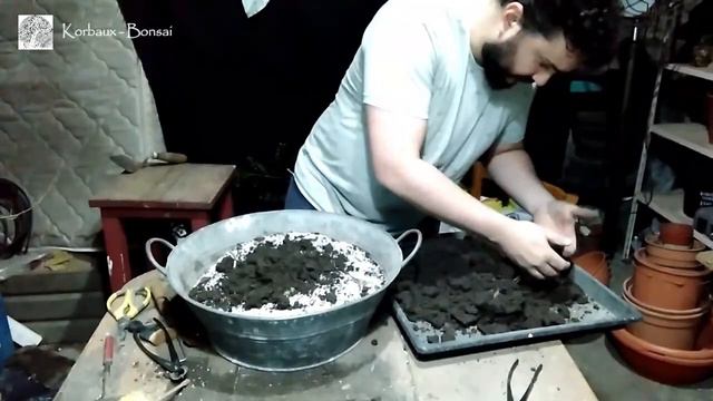 LN T1E8 Moradillo. Trasplante смотреть онлайн