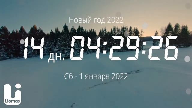 ОТСЧЕТ ДО НОВОГО ГОДА / COUNTDOWN TO NEW YEAR / 新年倒计时