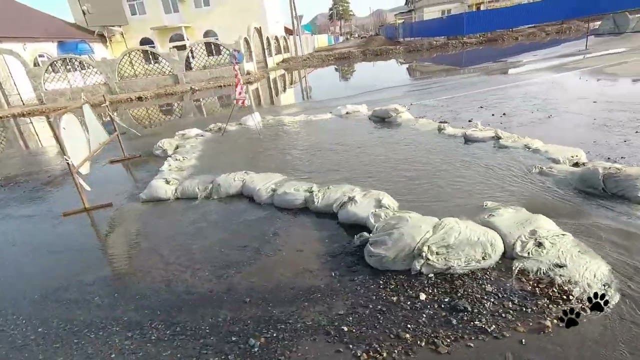 Паводок Сакмара Кувандык 12 04 2024 9-10 утра смотреть онлайн