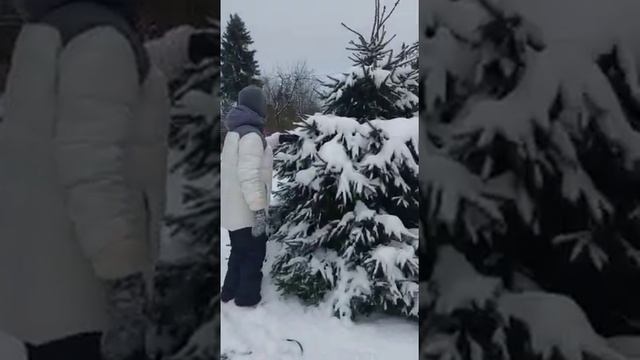 Дача, 19 ноября смотреть онлайн